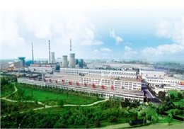 ɽ��̫��ֽҵ�ϴ�ѹ�׼�����Ŀ